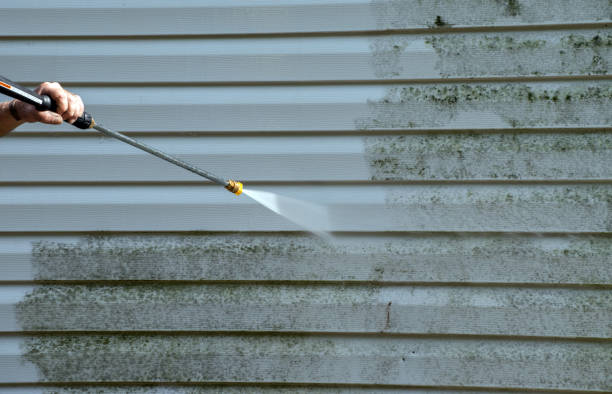 Best Certified Mold Removal  in Jeffersonville, IN